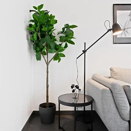 Charming 1br Apt W/ Terrace & 5 Min Drive To City